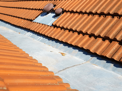 About Leaking Skylight Repair Pros Leonidas, MI